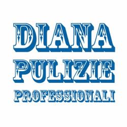 Diana Pulizie Professionali, Casier orari di apertura