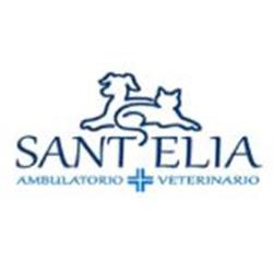 Ambulatorio Veterinario Sant'Elia, Inverno e Monteleone orari di apertura
