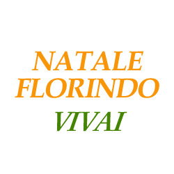 Natale Florindo Vivai, Fossacesia orari di apertura