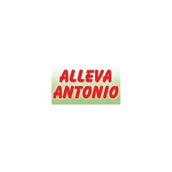Pasticceria Gelateria Alleva, Reggio Calabria orari di apertura