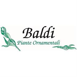 Baldi Piante, Solarolo orari di apertura