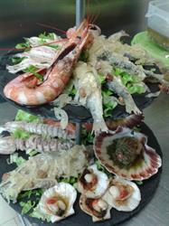 Osteria al Fureghin, Burano orari di apertura