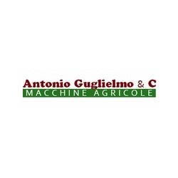 Macchine Agricole Guglielmo, Castellonorato orari di apertura