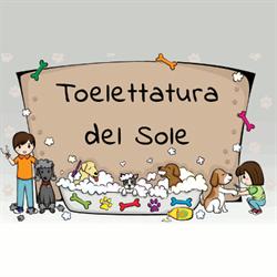 Toelettatura del Sole, Bologna orari di apertura