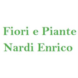 Fiori e Piante Nardi Enrico, Monteroni d'Arbia orari di apertura