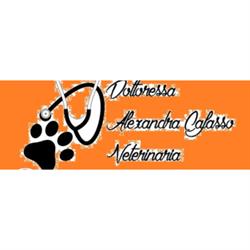Studio Veterinario Dr.ssa Alexandra Cafasso, Sanremo orari di apertura