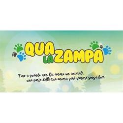 Qua La Zampa, Ascea orari di apertura