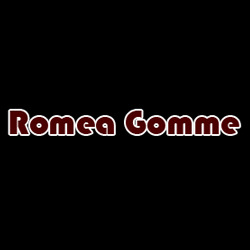 ROMEA GOMME S.R.L.UNIPERSONALE - Driver Center Pirelli PONTEMAODINO DI CODIGORO, Codigoro orari di apertura