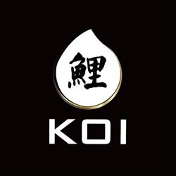 Koi Japanese Fusion Restaurant, Torino orari di apertura