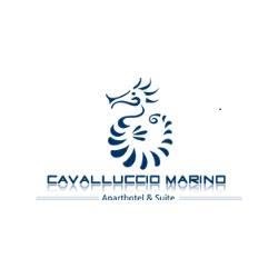Hotel Cavalluccio Marino, Rimini orari di apertura