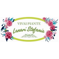 Vivai Piante - Lanari Stefania, Ostra Vetere orari di apertura