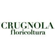 Crugnola Floricoltura, Vedano Olona orari di apertura