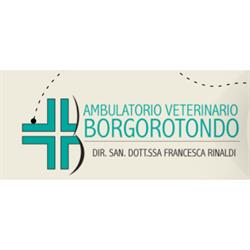 Ambulatorio Veterinario Borgo Rotondo, San Giovanni in Persiceto orari di apertura
