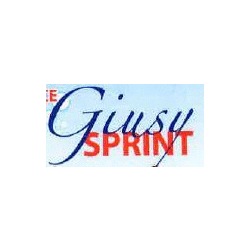 Pulisecco Giusy Sprint, Santa Maria di Sala orari di apertura