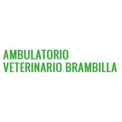 Ambulatorio Veterinario Brambilla, Cusano Milanino orari di apertura
