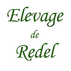 Elevage De Redel, Ravenna orari di apertura