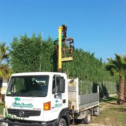 Verde Gentile - Vivaio, Pontecagnano Faiano orari di apertura