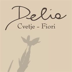 Delia Cvetje Fiori, Trieste orari di apertura