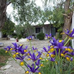 B&B Masseria Liberatore, Mattinata orari di apertura