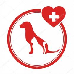 Ambulatorio Veterinario Carminiani, Donoratico orari di apertura