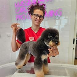 Toelettatura Zampettiamo cani e gatti di Rinalo Rosalba Ancona, orari di apertura