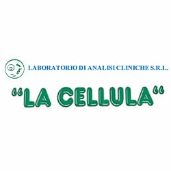 La Cellula dei dott.ri Piero e Rosamaria Tomasello, Biancavilla orari di apertura