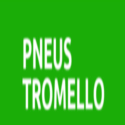 Pneus Tromello, orari di apertura