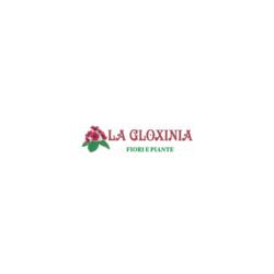 La Gloxinia Fiori e Piante, Messina orari di apertura