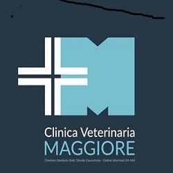 Clinica Veterinaria Maggiore, Luino orari di apertura