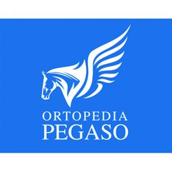 Ortopedia Pegaso, Cuneo orari di apertura
