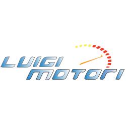 Luigi Motori - Auto e moto, Rodigo orari di apertura