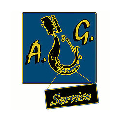A.G. Service Gru Paranchi Carriponte, Piossasco orari di apertura