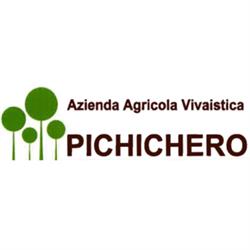Pichichero Pasquale Vivai, Cassano delle Murge orari di apertura