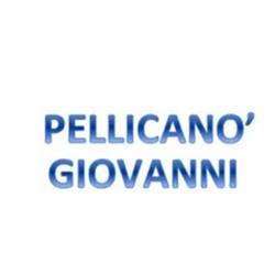 Autonoleggio Taxi Pellicanò Giovanni, Castiglione Torinese orari di apertura