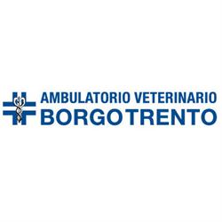 Ambulatorio Veterinario Borgotrento, Verona orari di apertura