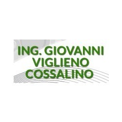 Viglieno Cossalino Ing. Giovanni, Torino orari di apertura
