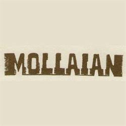 Mollaian Tappeti, Treviso orari di apertura