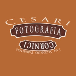 Laboratorio di Fotografia Marco Cesari, San Secondo Parmense orari di apertura