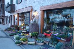 Fioreria Zara, San Vito di Cadore orari di apertura
