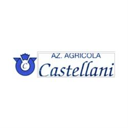 Azienda Agricola Castellani Dino, San Daniele del Friuli orari di apertura
