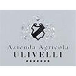 Azienda Agricola Ulivelli, Castellina in Chianti orari di apertura