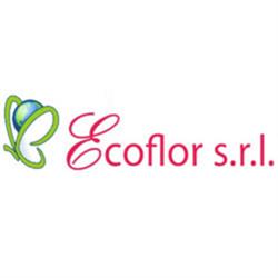 Ecoflor, Tremestieri Etneo orari di apertura