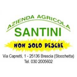 Agriturismo Fior di Pesco, Brescia orari di apertura
