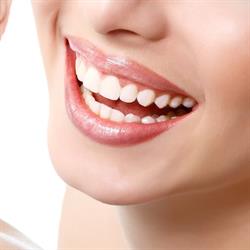 Studio Dentistico Righetti e Rigotti, Torino orari di apertura