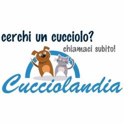 Cucciolandia, Gorla Maggiore orari di apertura