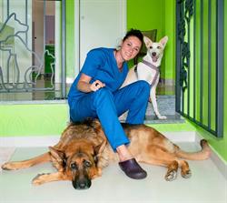 Manassero Dr.ssa Monica Veterinaria, Moncalieri orari di apertura