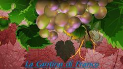 La Cantina di Franco, Calderara di Reno orari di apertura