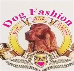 Dog Fashion, Montalto Uffugo orari di apertura
