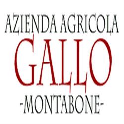 Azienda Agricola Gallo - Vini Piemontesi, Montabone orari di apertura