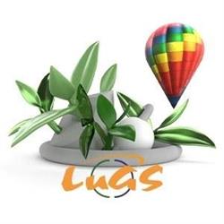 Lugs Servizi Edili Ambientali, Ghemme orari di apertura